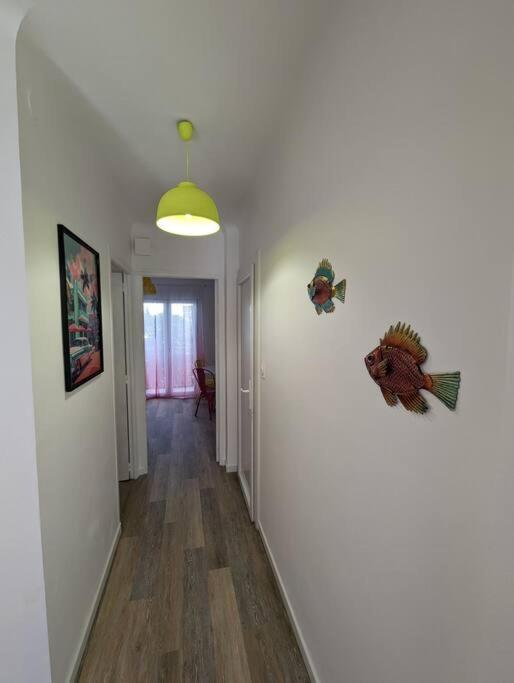 Apartment Le Funky *